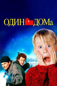 Один дома - главный постер